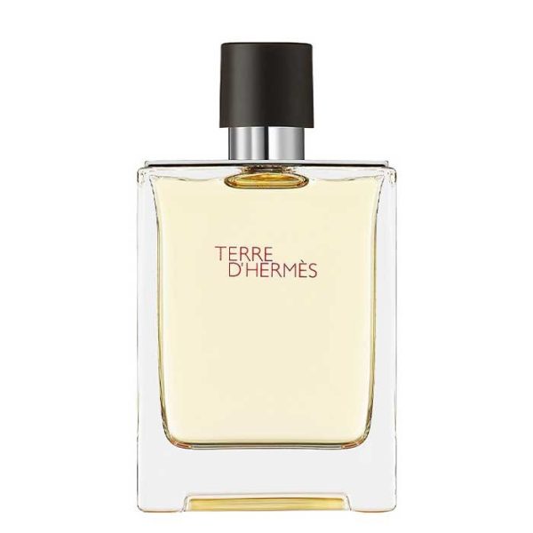 ادکلن ادوتویلت مردانه 100 میل هرمس تق هرمس Hermes Terre d’Hermes