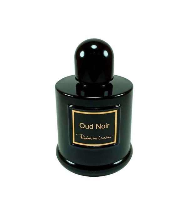 ادکلن ادوتویلت 100 میل مردانه روبرتو ویزاری عود نویر Roberto Vizzari Oud Noir