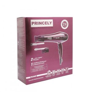 سشوار حرفه ای PR250AT پرینسلی PRINCELY