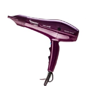 سشوار حرفه ای PR250AT پرینسلی PRINCELY