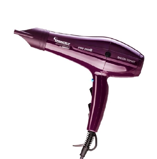 سشوار حرفه ای PR250AT پرینسلی PRINCELY