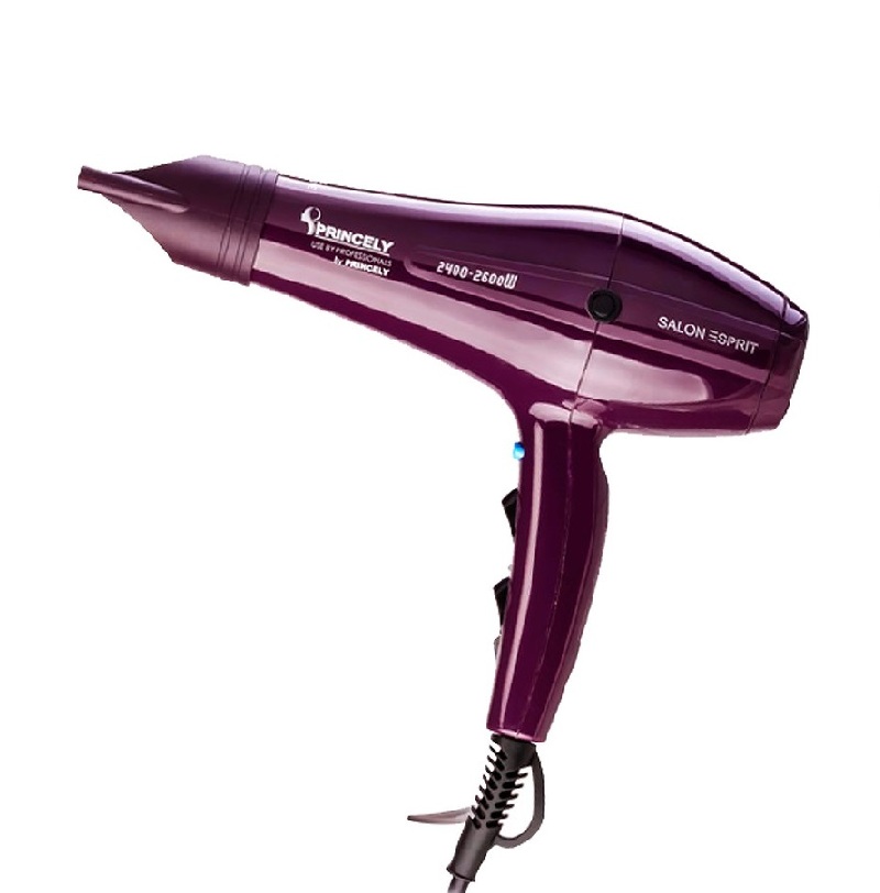 سشوار حرفه ای PR250AT پرینسلی PRINCELY