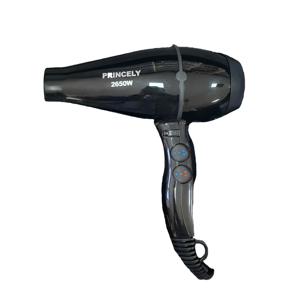 سشوار حرفه ای PR200AT پرینسلی PRINCELY