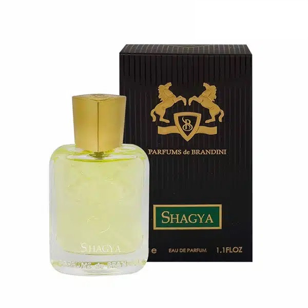 عطر ادوپرفیوم 33 میل مردانه شایگا برندینی BRANDINI