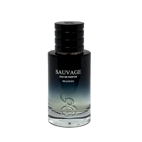 عطر ادوپرفیوم 33 میل مردانه ساواج دیور برندینی BRANDIN