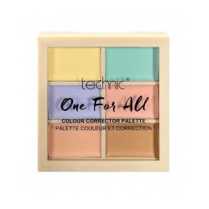 پالت کارکتور One For All تکنیک Technic