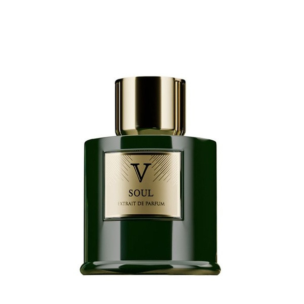 عطر ادوپرفیوم 100 میل مردانه روبرتو ویزاری سول Roberto Vizzari SOUL