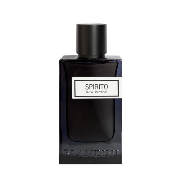 عطر ادوپرفیوم 90 میل مردانه SPIRITO برندینی BRANDINI - Image 2