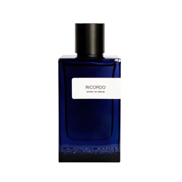 عطر ادوپرفیوم 90 میل مردانه RICORDO برندینی BRANDINI - Image 2