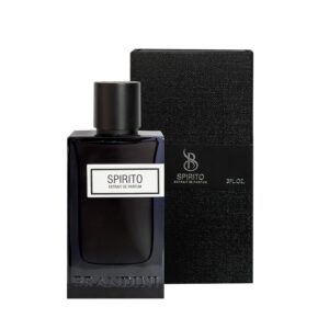 عطر ادوپرفیوم 90 میل مردانه SPIRITO برندینی BRANDINI