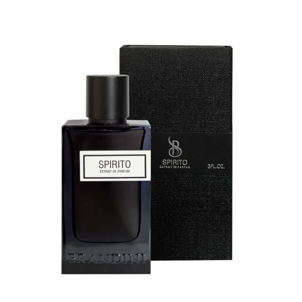 عطر ادوپرفیوم 90 میل مردانه SPIRITO برندینی BRANDINI